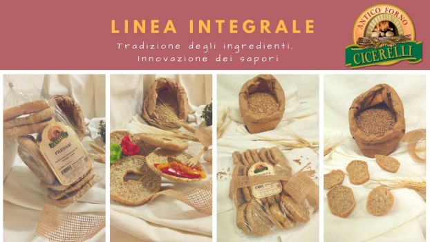 LINEA INTEGRALE